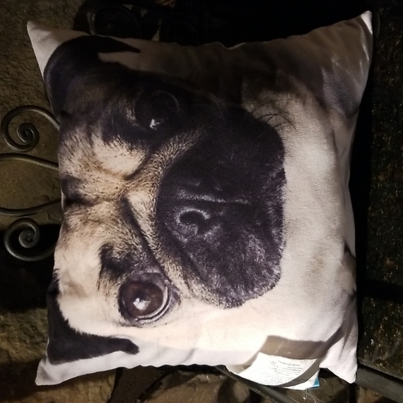 doug the pug pillow